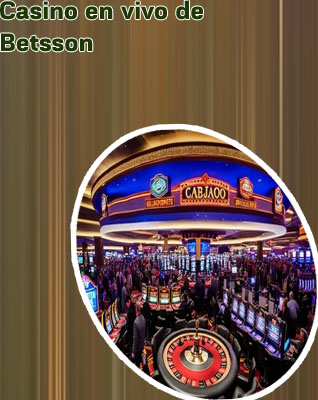 Casino 24 vivo